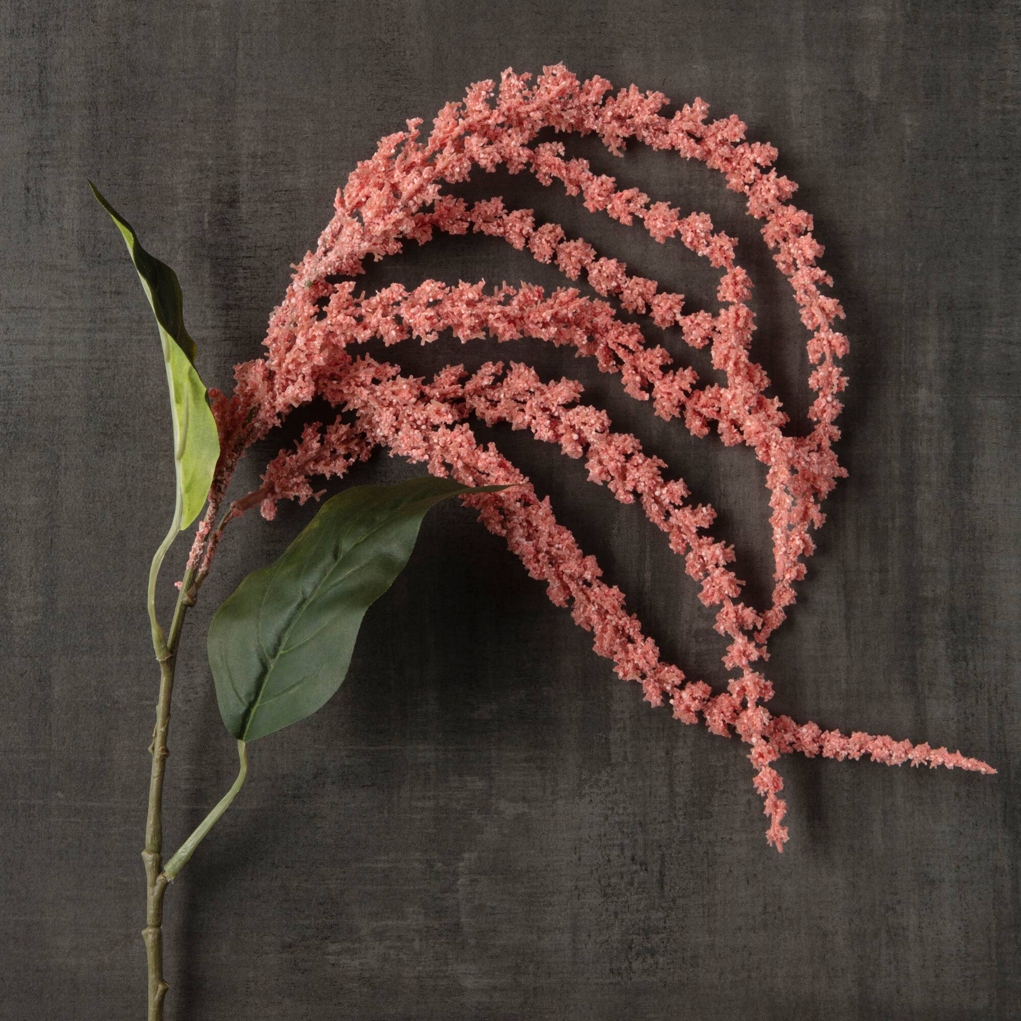 Pink & Cream Amaranthus Stem By Ashland®